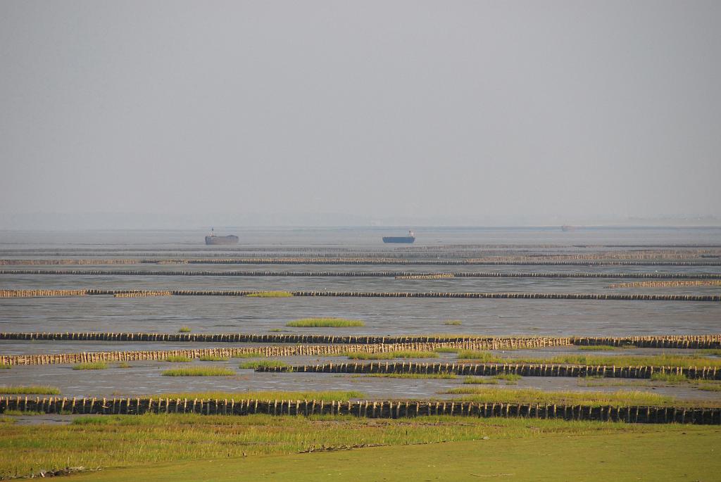 0390 DSC_4923.JPG - [de]Salzwiesen an der Nordsee[en]Salt meadows at the North Sea coast